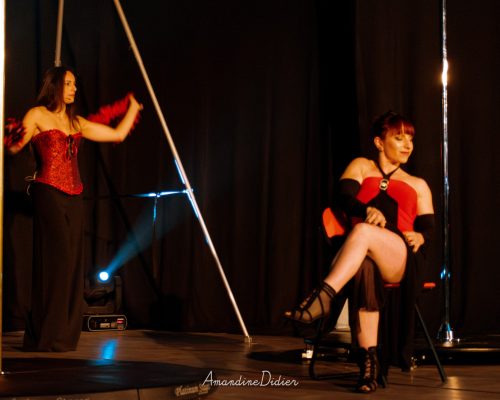 Aerial dance Libramont cours de pole dance (5)