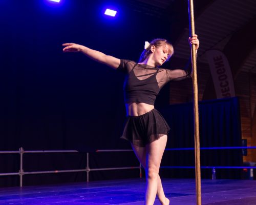 Aerial dance Libramont cours de pole dance (8)